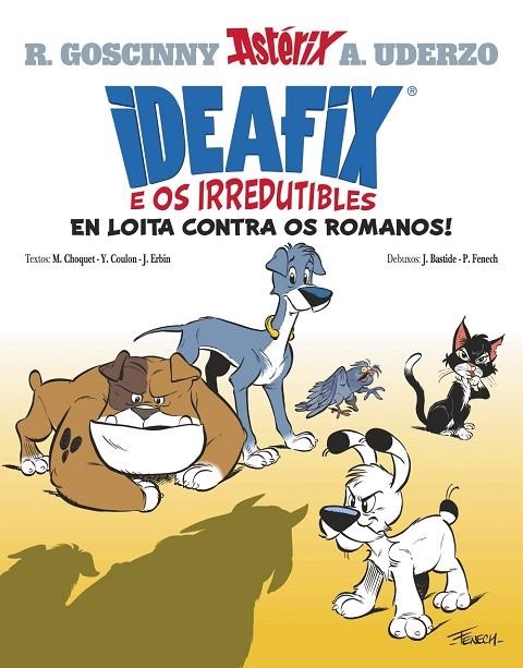 IDEAFIX E OS IRREDUTIBLES, 1 | 9788411104548