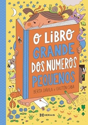 O LIBRO GRANDE DOS NÚMEROS PEQUENOS | 9788411102650