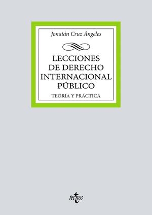 LECCIONES DE DERECHO INTERNACIONAL PÚBLICO | 9788430980345