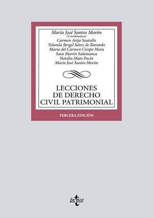 LECCIONES DE DERECHO CIVIL PATRIMONIAL | 9788430985869