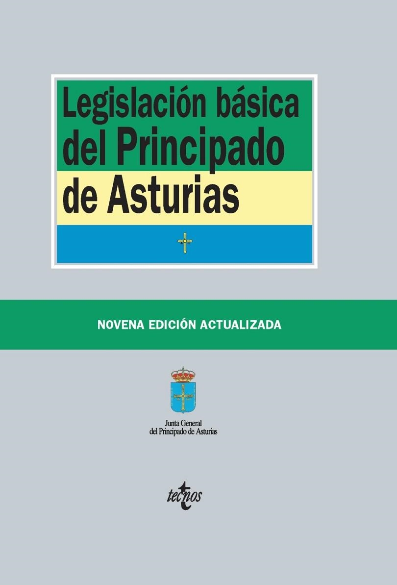 LEGISLACIÓN BÁSICA DEL PRINCIPADO DE ASTURIAS | 9788430989393