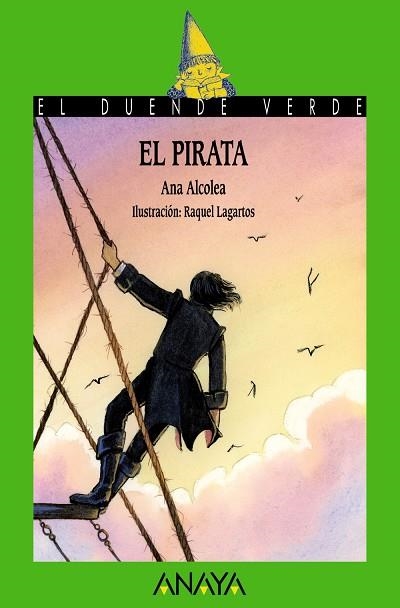 EL PIRATA | 9788414340394