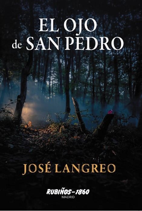 EL OJO DE SAN PEDRO | 9788480411790