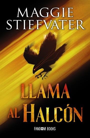 LLAMA AL HALCÓN (RÚSTICA) | 9788419831057