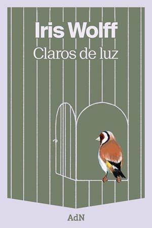 CLAROS DE LUZ | 9788410138940