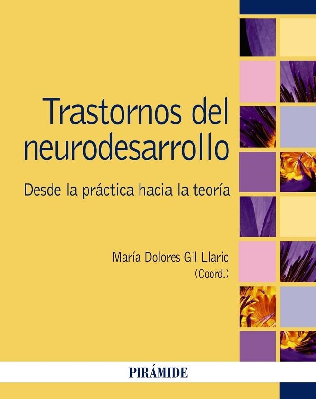TRASTORNOS DEL NEURODESARROLLO | 9788436848991