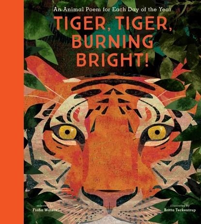 TIGER, TIGER, BURNING BRIGHT! AN ANIMAL POEM FOR EACH DAY OF THE YEAR | 9781536217186 | BRITTA TECKENTRUP