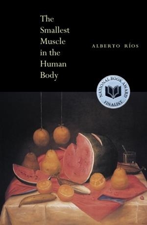 THE SMALLEST MUSCLE IN THE HUMAN BODY | 9781556591730 | ALBERTO ROS
