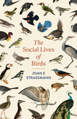 THE SOCIAL LIVES OF BIRDS | 9781035417155 | JOAN E STRASSMANN