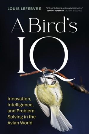 A BIRD'S IQ | 9781778402647 | LOUIS LEFEBVRE