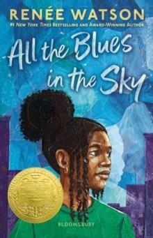 ALL THE BLUES IN THE SKY | 9781037210396 | RENEE WATSON
