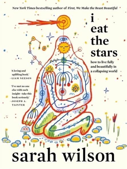 I EAT THE STARS | 9781837827213 | SARAH WILSON