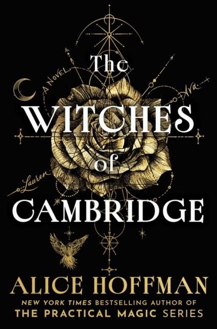 THE WITCHES OF CAMBRIDGE | 9781398565302 | ALICE HOFFMAN