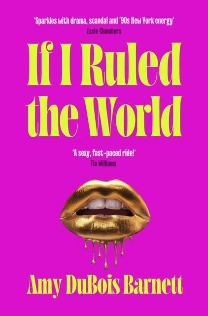 IF I RULED THE WORLD | 9781398543690 | AMY DUBOIS BARNETT