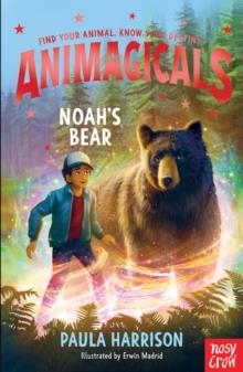 ANIMAGICALS: NOAH'S BEAR | 9781805130949 | PAULA HARRISON