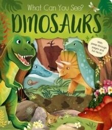 WHAT CAN YOU SEE? DINOSAURS | 9781801048330 | DEE COSTELLO