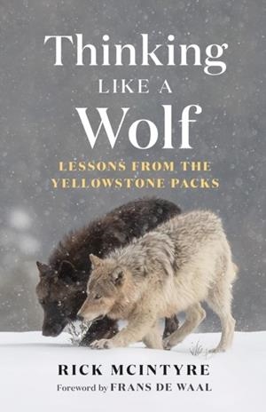 THINKING LIKE A WOLF | 9781778403767 | RICK MCINTYRE