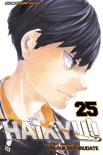 HAIKYU!!, VOL. 25 : RETURN OF THE KING VOLUME 25 | 9781421598079
