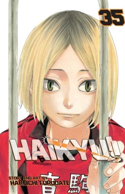 HAIKYU!!, VOL. 35 : BIRDCAGE VOLUME 35 | 9781974709458