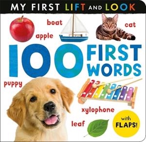 100 FIRST WORDS: MY FIRST LIFT AND LOOK | 9781801048910 | HETTIE COX