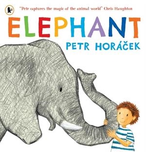 ELEPHANT | 9781529538854 | PETR HORACEK