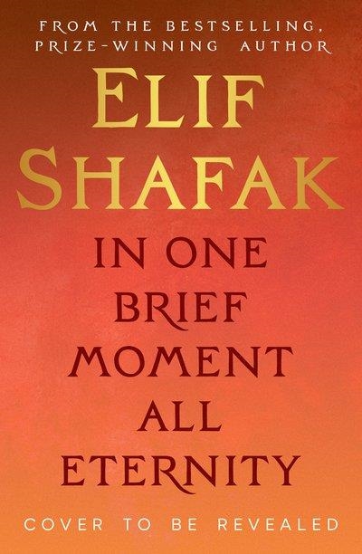 IN ONE BRIEF MOMENT ALL ETERNITY | 9780241745953 | ELIF SHAFAK