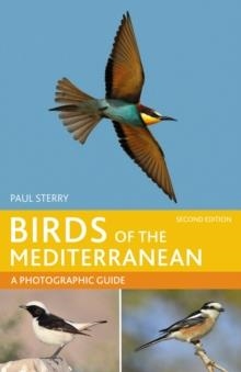 BIRDS OF THE MEDITERRANEAN | 9781399418560 | PAUL STERRY