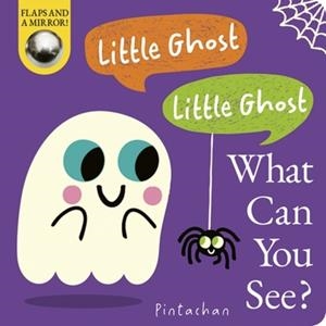 LITTLE GHOST! LITTLE GHOST! WHAT CAN YOU SEE? | 9781801048279 | DEE COSTELLO