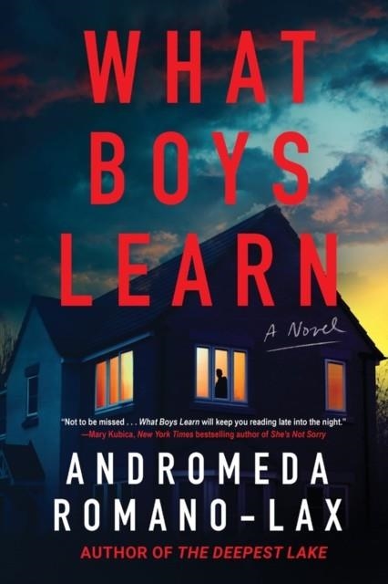 WHAT BOYS LEARN | 9781641298421