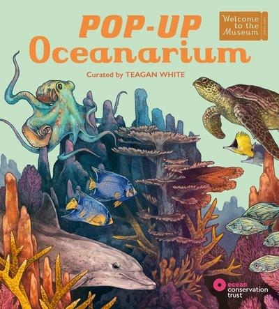POP-UP OCEANARIUM | 9781835879146 | VARIOUS