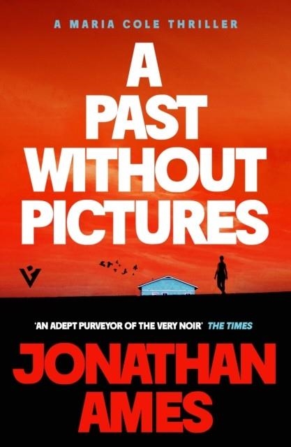 A PAST WITHOUT PICTURES | 9781805336648 | JONATHAN AMES