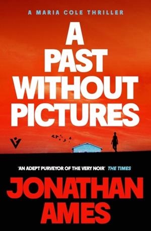 A PAST WITHOUT PICTURES | 9781805336648 | JONATHAN AMES