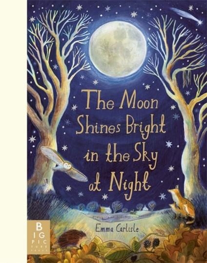 THE MOON SHINES BRIGHT IN THE SKY AT NIGHT | 9781835873472 | EMMA CARLISLE