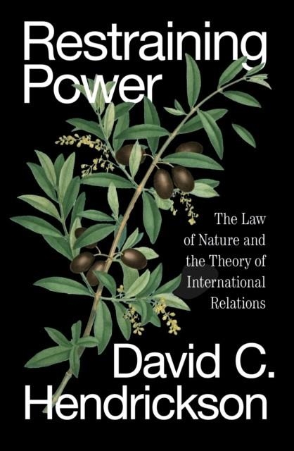 RESTRAINING POWER | 9781836742463 | DAVID C HENDRICKSON