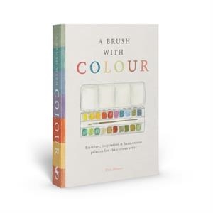 A BRUSH WITH COLOUR | 9781837761227 | THÉA MENEUR