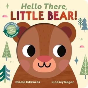 HELLO THERE, LITTLE BEAR! | 9781801048798 | NICOLA EDWARDS, LINDSEY SAGAR