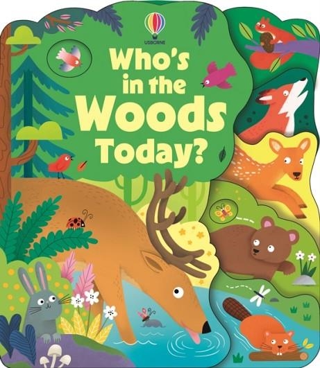 WHO'S IN THE WOODS TODAY? | 9781835408766 | ALICE BEECHAM