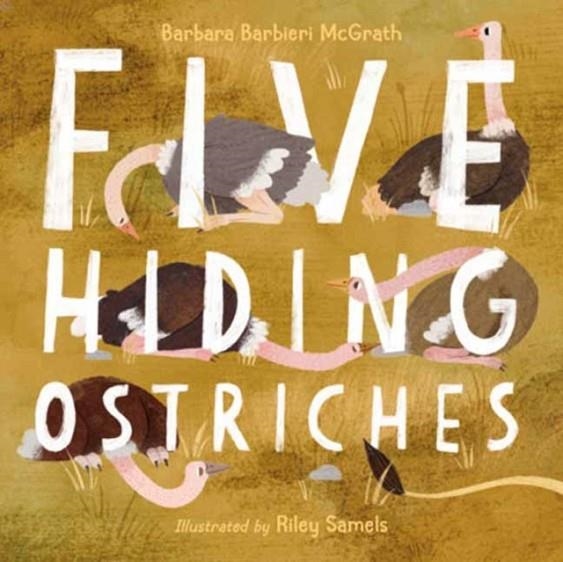 FIVE HIDING OSTRICHES | 9781623548551 | BARBARA BARBIERI MCGRATH