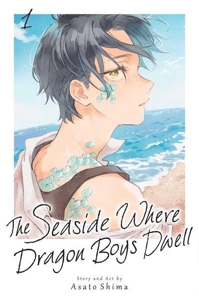 THE SEASIDE WHERE DRAGON BOYS DWELL VOL 01 | 9781974769247 | ASATO SHIMA