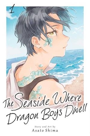 THE SEASIDE WHERE DRAGON BOYS DWELL VOL 01 | 9781974769247 | ASATO SHIMA