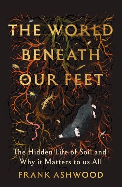THE WORLD BENEATH OUR FEET | 9781399742481 | FRANK ASHWOOD
