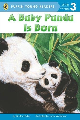 BABY PANDA IS BORN | 9780448478289 | KRISTIN OSTBY