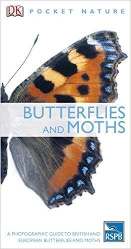 BUTTERFLIES AND MOTHS | 9781405349956 | VARIS AUTORS