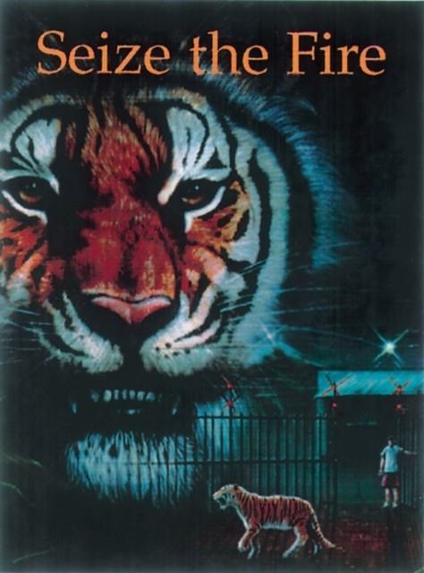 SEIZE THE FIRE-NLLA | 9780582488526 | PIPPA DORAN