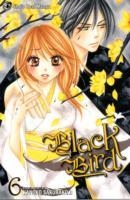 BLACK BIRD 6 | 9781421530666