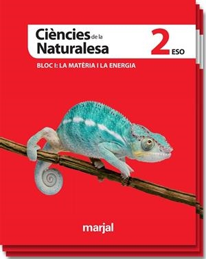 CIENCIES DE LA NATURALESA ES2 (VAL) LIBRO ALUMNO | 9788483483152 | EDEBÉ, OBRA COLECTIVA